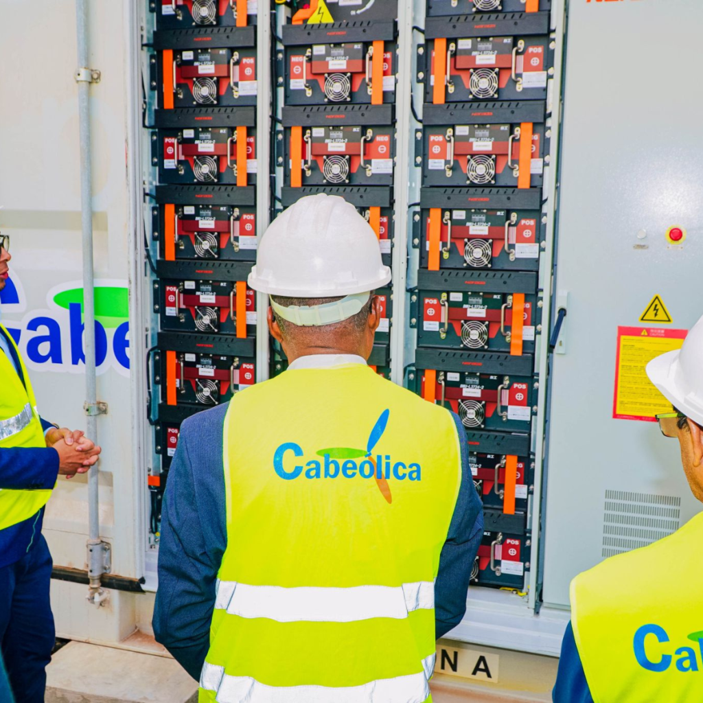 2 6
