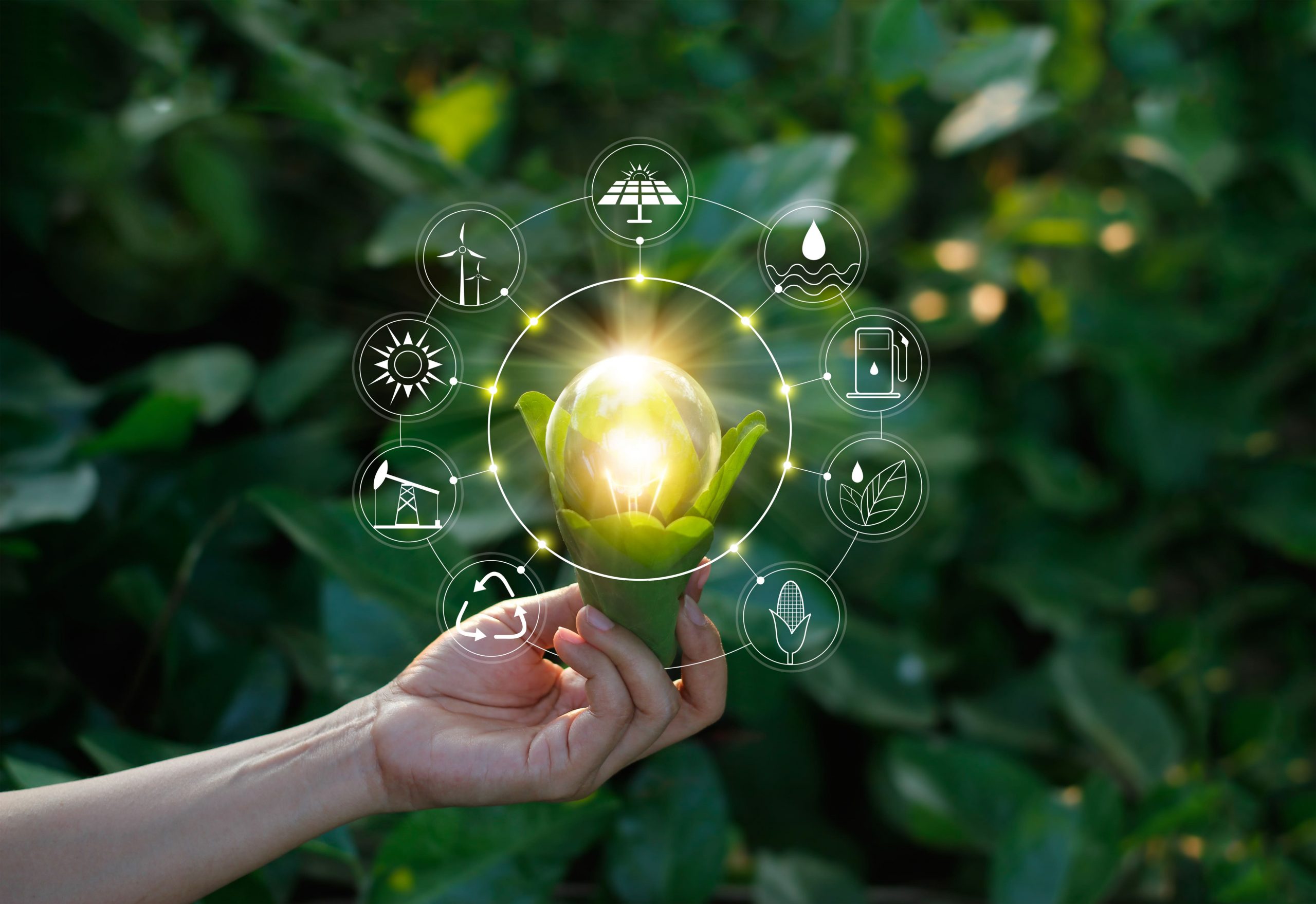 renewable-energy-scaled